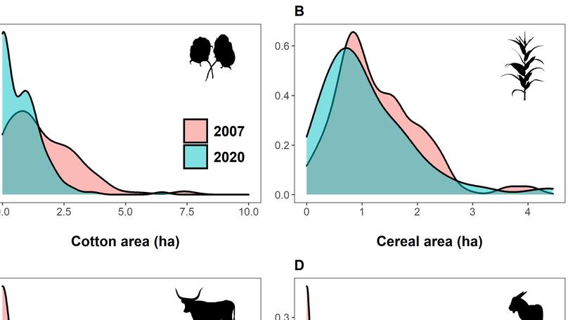 Commodity crops in biodiversity-rich production landscapes: Friends or foes? The example of cotton in the Mid Zambezi Valley, Zimbabwe