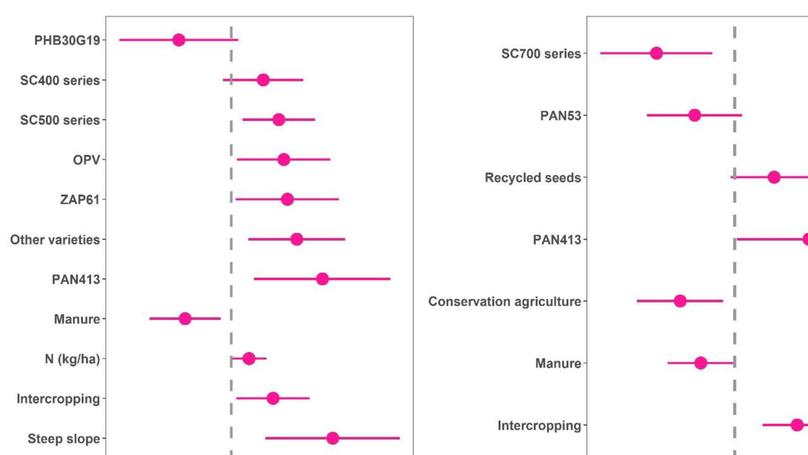 Revisiting strategies to incorporate gender-responsiveness into maize breeding in southern Africa