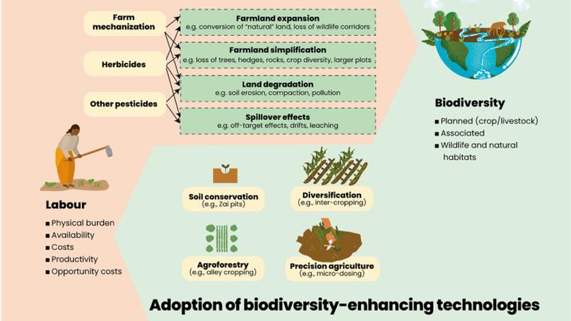 Addressing agricultural labour issues is key to biodiversity-smart farming