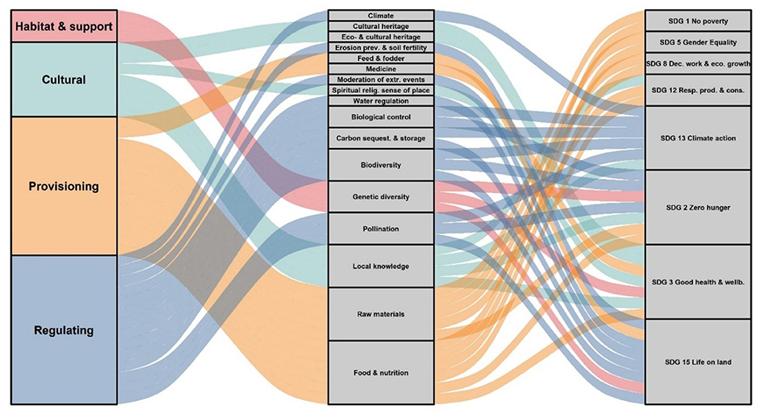 Diversity And Diversification Ecosystem Services Derived From Underutilized Crops And Their Co